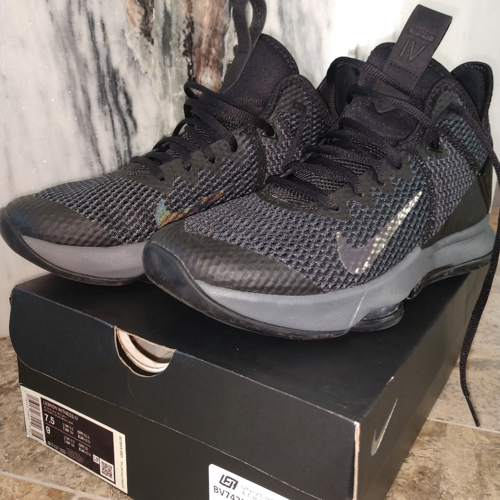 LeBron Witness IV Basketball Shoes